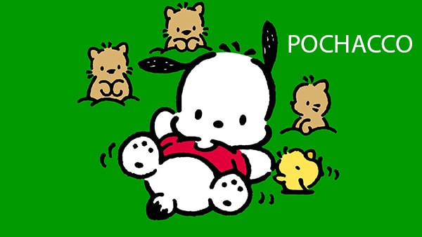 giới thiệu về Pochacco