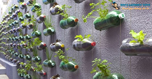 Cách tái chế chai nhựa thành chậu trồng rau 6