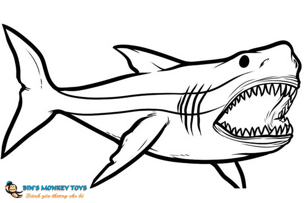 Vẽ cá mập cute 3