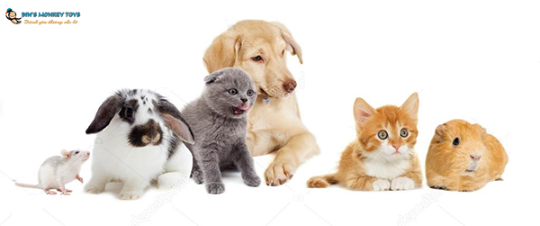 Hình ảnh các con vật nuôi trong gia đình 3