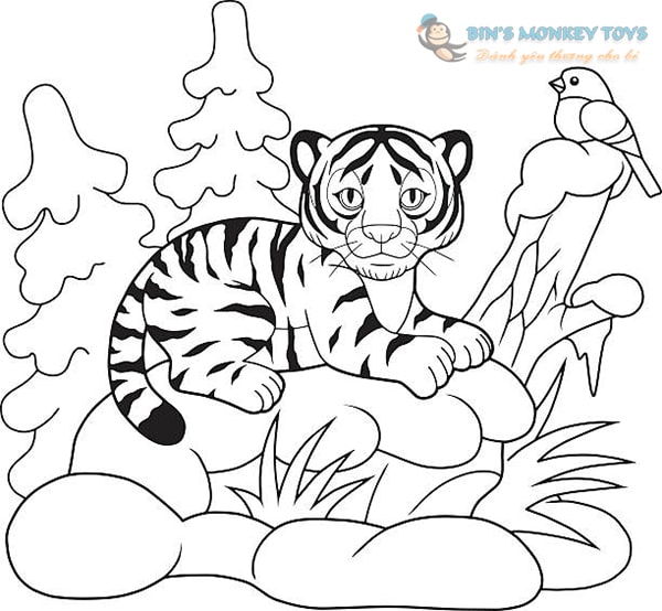 Tổng hợp hơn 102 hình vẽ con hổ đẹp hay nhất  Tin Học Vui