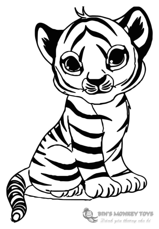 Cách vẽ con hổ đơn giản nhưng siêu đẹp uy nghiêm Mẫu vẽ hổ  PHÒNG GD   ĐT HUYỆN CON CUÔNG