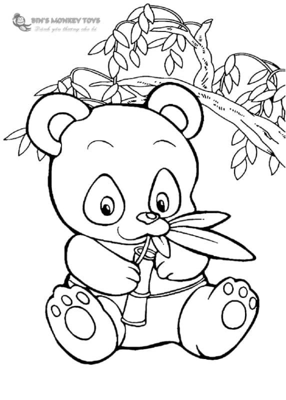 Hướng dẫn vẽ từng bước con gấu trúc dễ thương nhất  YeuTreNet