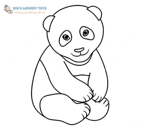 Con gấu con  66407 Ảnh vector và hình chụp có sẵn  Shutterstock