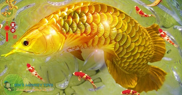 Tranh tô màu con cá vàng đẹp nhất dành cho bé tập tô