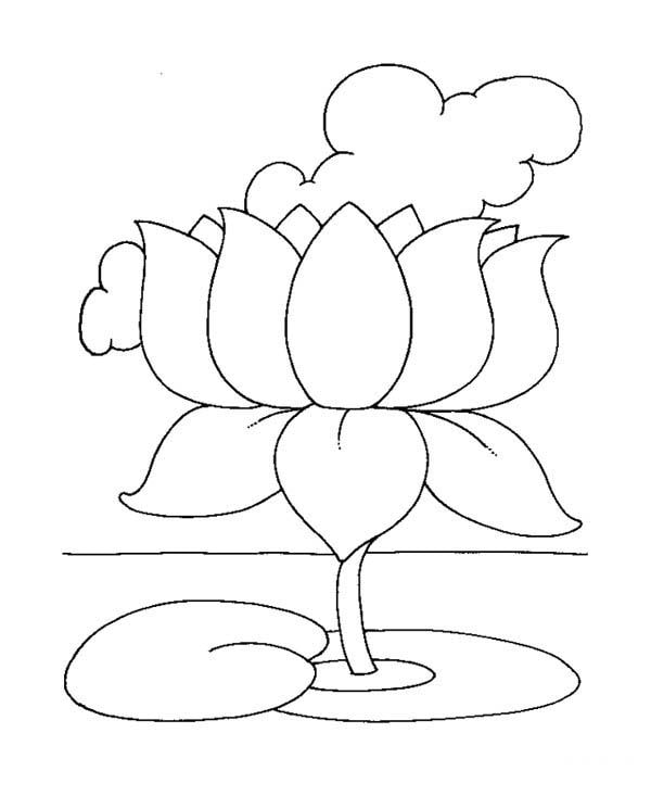 Hình vẽ hoa sen phật giáo 9
