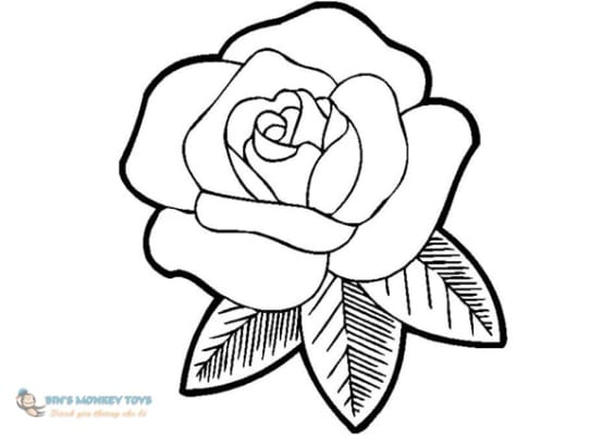 Hình vẽ hoa hồng đơn giản 7