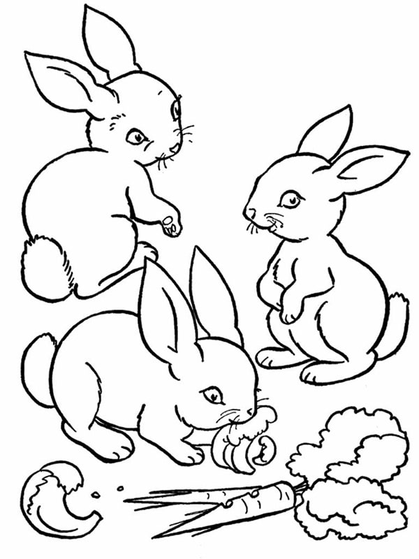 Tranh tô màu con thỏ 8