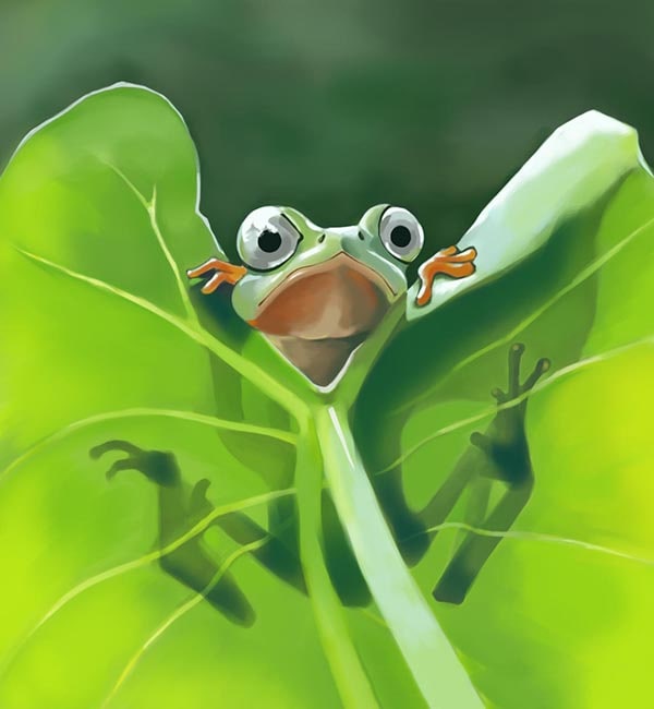 Avatar con ếch 