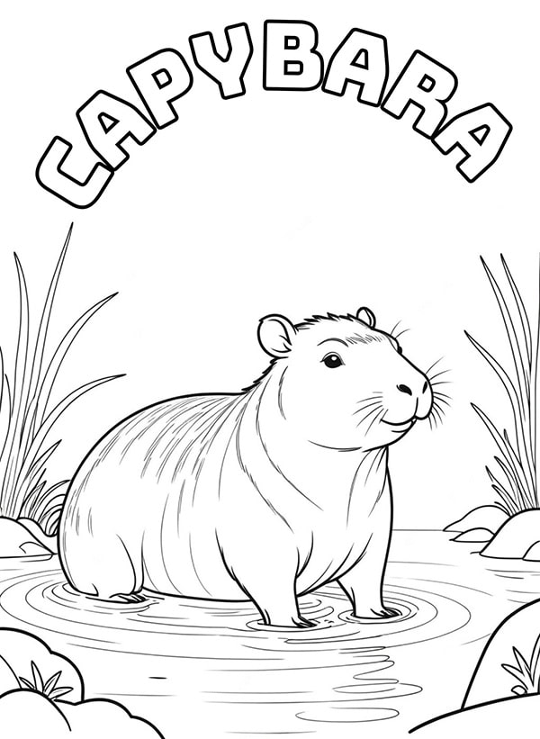 Tuy n ch n nh ng tranh t m u capybara cute d th ng cho b 
